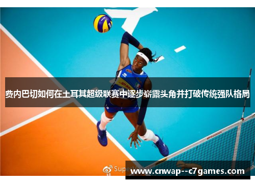 费内巴切如何在土耳其超级联赛中逐步崭露头角并打破传统强队格局